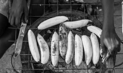 Uganda - Kampala - Uganda: 🦍 Hike to wild Mountain Gorillas, 🦏 Track Rhinos, 🌅 Lake Victoria cruise, White water rafting, Stand on the equator line & visit Entebbe, Kampala & Jinja towns - 3