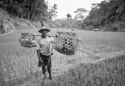 Indonesia - Ubud - Bali with Ashley Sellers - 2