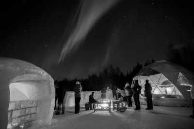 Nordeuropa - Tromsø - 2024 Tromsø Winter Expedition: Ice Floating in the Arctic 🧊 Whale Spotting 🐋 Reindeers 🦌🛷 Northern Lights 🌌✨ Fjord Roadtrips 🚗 🏔️ - 3