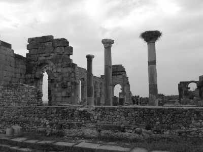 Morocco - Conservation du site Archéologique de volubilis - Marokko Rundreise - Entdecke die Königstädte und Wüste - 1