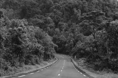 Eastern Africa - Rushel Kivu Lodge - Best Uganda-Rwanda Holiday - Wildlife Trekking Adventure