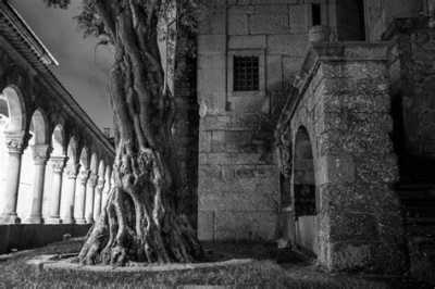 Portugal - Guimaraes - Experience the Monumental 👹 FRIDAY 13TH👹 at MONTALEGRE with a Local! *Shared bed room* - 2