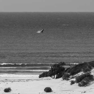 Südafrika - Cape Town - Explore the best of Cape Town, South Africa - 13