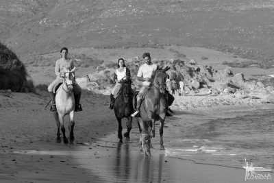 Spain - Bolonia - Travel like a local through Cádiz, Spain. - 3