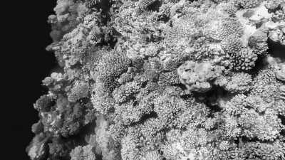 Ägypten - Blue Hole of Dahab - Coastal Charms: A Weeklong Adventure in Dahab's Paradise - 7