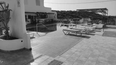 Spain - The Tree House Hostel - Visit Tenerife ⛰️ eat canarian food 🍽️ and see the natural wonders of the island 📍 - 1