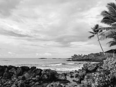 United States - Island of Hawai'i - Women-only🌺 Hawaii Island Hopping Dreams🏝️. Tropical Road Trip Adventure 🥰! (USA "Winter/Spring Break" Girls Trip! 2025) - 1