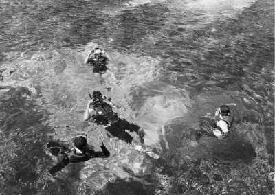 Indonesien - Pulau Kelor - Explore Komodo Island : The Real Jurassic Park - 1