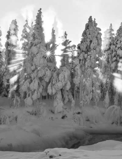Sweden - Gällivare - Cozy Northern Light vibe in Sewedish Lapland - 1