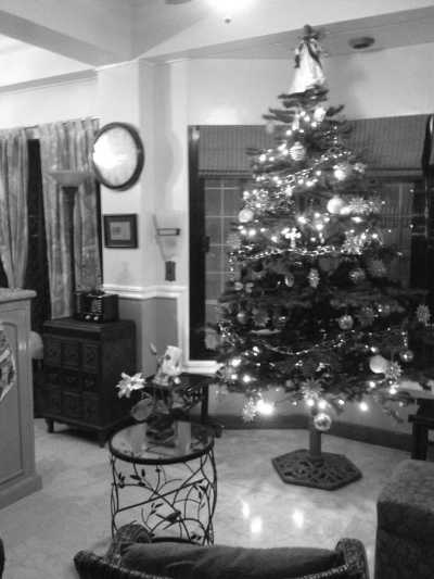 Philippines - Legazpi City - Exploring the Volcano Beauty of Legazpi, Albay, Philippines - 9