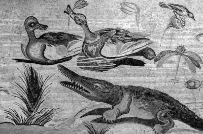 Italien - Naples - Capri Bliss: Live the Dolce Vita on This Paradise Island with Boat Tour Included - 5