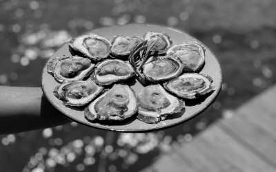 Southern Europe - Pelješac - Dubrovnik Coastal Escape – Wine, Oysters & Hidden Gems with a Local - 1