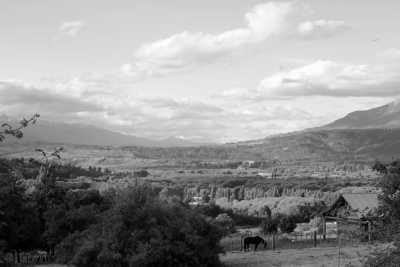 Argentina - El Hoyo - Majestic Horse Riding Adventure,"Eye To Eye with the Condor"