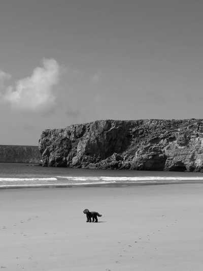 Portugal - Sagres - Coworking Recharge: Discover Portugal's Hidden Dreamhouse in Sagres for Remote work, Yoga, Surf and Connection - SHARED ROOM - 9