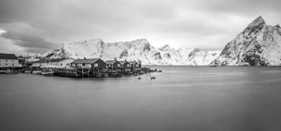 Norwegen - Lofoten - New Year's Eve in Norway - Northern Lights, snow and dog sledding! - 2