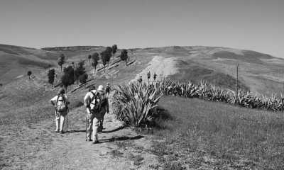 Marokko - Sidi Harazem - Discover the Hidden Gems of Fez: A Journey Through Morocco's Cultural Capital - 2