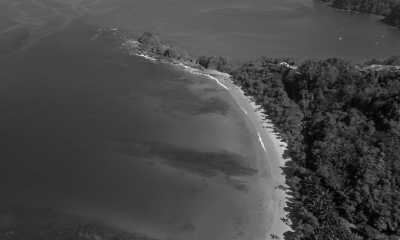 Costa Rica - Punta Leona - Majestic Adventures in Costa Rica: Beaches, Volcanoes, Hot Springs, Cloud Forest, and Pura Vida Lifestyle! - 10