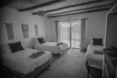 Portugal - Wild View Retreat - Wellness Retreat in the Algarve, Portugal - transform your body inside and out - 4