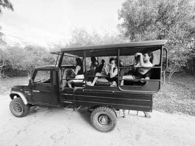 Sri Lanka - Arugam Bay - Explore Sri Lanka in LUXURY!! Stunning Beaches, Mountains, Waterfalls and Jungles I 15 Days - 5