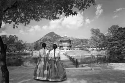 Eastern Asia - Discover South Korea & Japan: Nami Island, Mount Fuji, Samurai Experience, Matcha making and more! - JoinMyTrip