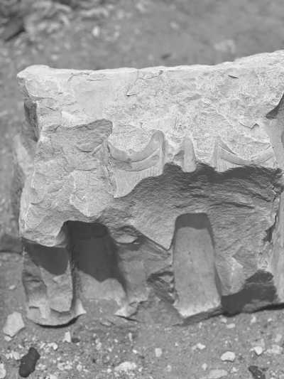 Egypt - Qasr Qaroun Temple - Fayoum, Egypt: Immerse Yourself in Nature for a Memorable Getaway - 2