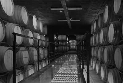 Greece - Metsovo - Ioannina, Greece: Unveiling the Greek spring with a local - 10