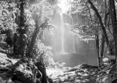 Mexiko - Las Nubes - Road trip to Mexico! Explore Xochimilco, Mexico Dowtown, Oaxaca Beach, Waterfalls, and MORE! Join an unforgetable Mexico Adventure