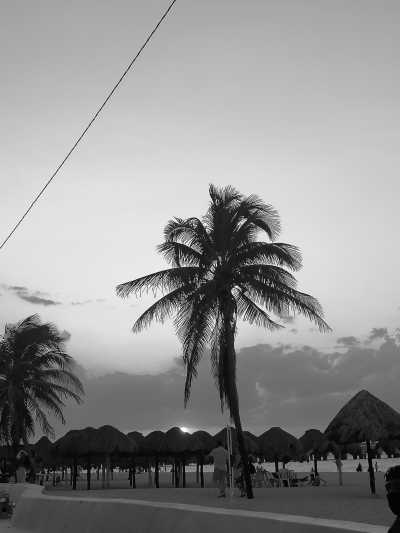 Mexico - Merida - Work while Getting to Know the Beautiful Mérida in Mexico - 2