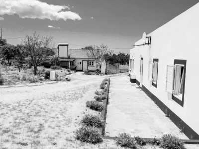 Portugal - Melides - Escape to Melides, Portugal: Nature, Relaxation, and Coworking Await! - 3