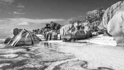 South Africa - Boulders Beach - Cape Town Collective: Work, Wine, and Dine in the Sunshine - 2
