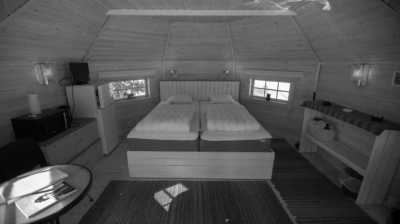 Sweden - Jukkasjärvi - Winter Adventure: Sled Dog Tour, Northern Lights and Wild Safari in Sweden☃️ - 3