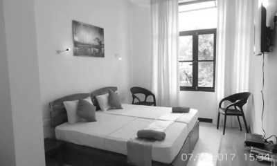 Sri Lanka - Negombo - Tropical Paradise - Holidaymakers Delight: Celebrate your next Winter in Sri Lanka - 8