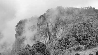 India - Kodaikanal Hill Station - Ancient South India: Experience the Exotic Ancient Temples and Enticing Hills of Tamilnadu - 10