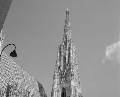 Austria - Vienna - Vienna on the Weekend 🍷🇦🇹 Wine Tasting and Barrel Accommodation!