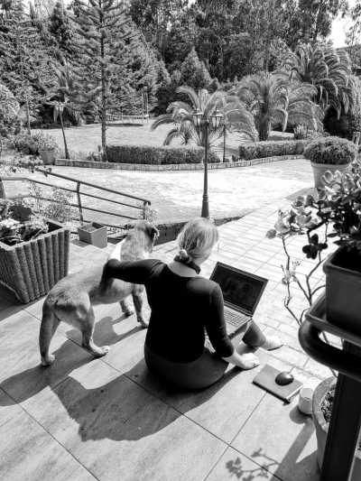 Portugal - Madeira Islands - 1 Woche CoLiving & CoWorking im Paradies Madeira: Workspace, Highspeed Internet, gem.Aktivitäten - 14