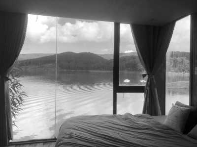 Vietnam - Dalat - Escape to Dalat and Forest Camping - Short Trip to Vietnam - 4