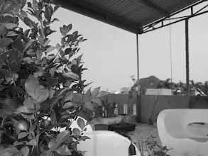 Vietnam - Da Nang - Half Day Cricket and Explore Da Nang City, Vietnam - 6