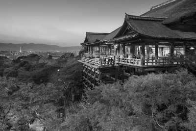 Japan - Join 10 days of Local Tour in Japan: Tokyo, Osaka, Nara, Kyoto🇯🇵 - JoinMyTrip