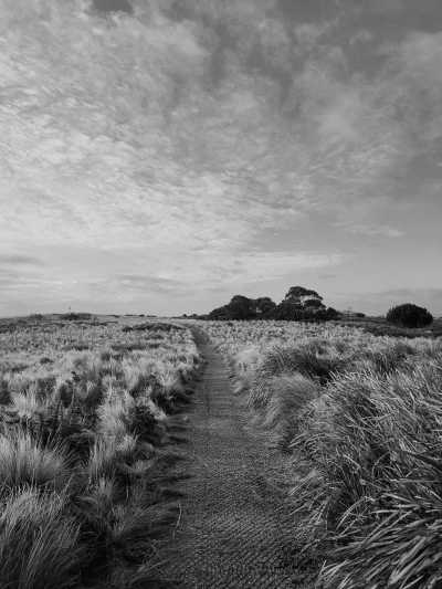 Australia - The Nut - Tasmania Express: 4-Day Getaway on Wheels! - 2