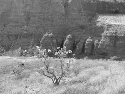 Welt - Cha de Morte - Inselüberquerung Santo Antao (Kapverden) - 7