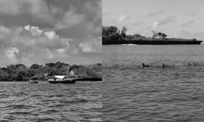 Kenya - Wasini Island - Discovering the nature and customs of Kenya, East Africa - 3