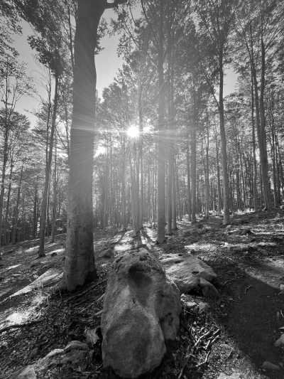 Italien - Monte Amiata - AirBodyFlow in Tuscany Mountains ⛰️, with A Local! - 2