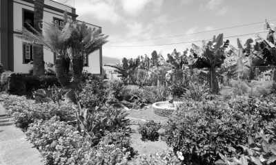 Spanien - Puerto de la Cruz - Yoga and Breakwork Workation in Colonial Spanish Villa in  Tenerife for 9 Days: Unlock Ultimate Relaxation - 5