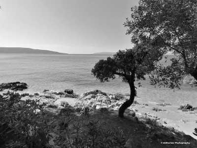 Croatia - Cres - Dare to be - DAS Retreat für Selbstbewusstsein und Präsenz. Für Frauen auf der Insel Cres in Kroatien - 1