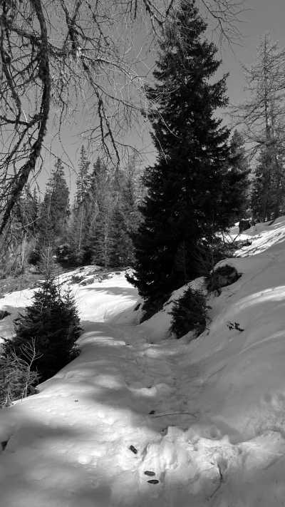 Switzerland - Guttet - Snowshoeing to an alpine hut - off the beaten tracks - 2