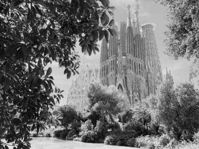 Spain - La Sagrada Familia - Padel and Wanderlust in Barcelona, Spain - 1
