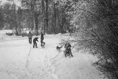 Austria - Ehrwald - Snow trip to Austria with my huskies 🐾❄️ Winter hikes | Skiing | Tobogganing - 1