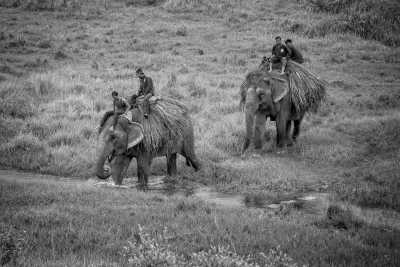 Nepal - Chitawan - Discover Nepal's Enchanting Wonders: A 10-Day Journey through Majestic Landscapes and Rich Cultural Treasures! - 1