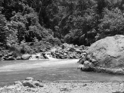 Indonesia - Ketambe Trek & Orangutan Explore - 🇮🇩 Indonesien Wildes Sumatra - 15d echte Backpacking Abenteuerreise off the beaten track - incl. Orang Utan Beobachtung 🏞️🐒🌿🏝️ - 2