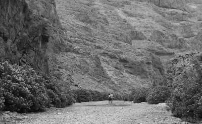 Morocco - Trekking in the rose valley, Morocco 🏕🥾(4 nights) 🌹🏜 - JoinMyTrip